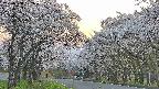 takano2-20250508182030.jpg