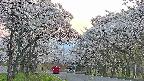 takano2-20250508183030.jpg