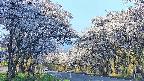 takano2-20250509054029.jpg