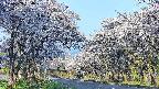 takano2-20250509060029.jpg