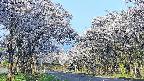 takano2-20250509061029.jpg