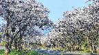 takano2-20250509063030.jpg