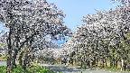 takano2-20250509072030.jpg