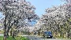 takano2-20250509073030.jpg