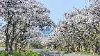 takano2-20250509080029.jpg