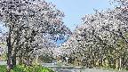 takano2-20250509082029.jpg