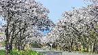 takano2-20250509084032.jpg