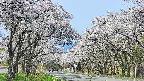 takano2-20250509091030.jpg