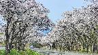 takano2-20250509092032.jpg