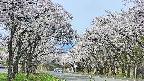 takano2-20250509095029.jpg