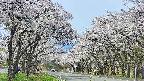 takano2-20250509101030.jpg