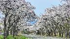takano2-20250509103031.jpg