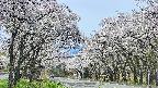 takano2-20250509111029.jpg