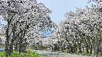 takano2-20250509114031.jpg