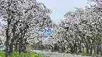 takano2-20250509131030.jpg