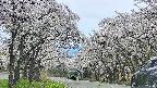 takano2-20250509134029.jpg