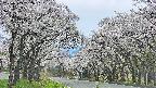 takano2-20250509152031.jpg
