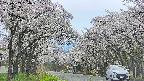 takano2-20250509154030.jpg