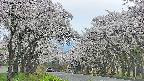 takano2-20250509161030.jpg