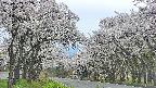 takano2-20250509162032.jpg
