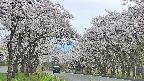 takano2-20250509163031.jpg