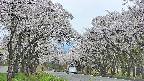 takano2-20250509164031.jpg