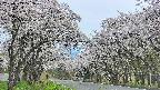 takano2-20250509171030.jpg