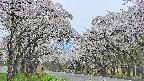 takano2-20250509173032.jpg