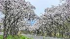 takano2-20250509175031.jpg