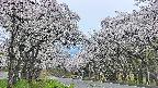 takano2-20250509183031.jpg