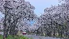 takano2-20250509184031.jpg