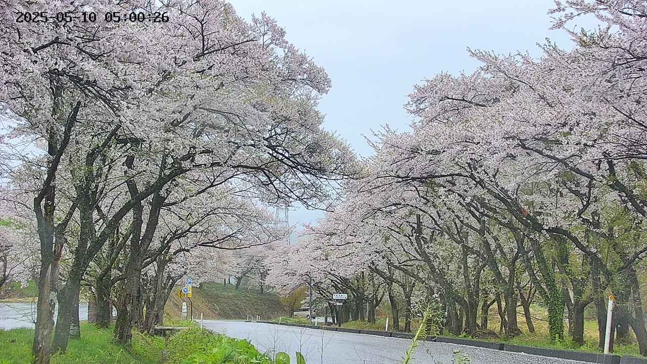 takano2-20250510050028.jpg