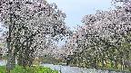 takano2-20250510050028.jpg