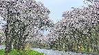 takano2-20250510051030.jpg