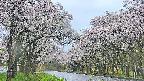 takano2-20250510052030.jpg