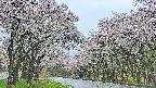 takano2-20250510053031.jpg