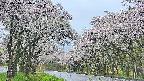 takano2-20250510054029.jpg
