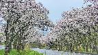 takano2-20250510055028.jpg