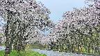takano2-20250510060030.jpg