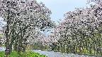 takano2-20250510061029.jpg