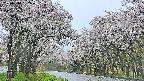 takano2-20250510062030.jpg
