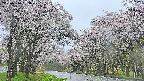 takano2-20250510063029.jpg