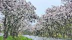 takano2-20250510064030.jpg
