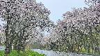 takano2-20250510065030.jpg