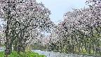 takano2-20250510070031.jpg