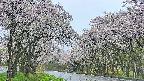 takano2-20250510071030.jpg