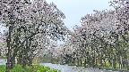 takano2-20250510072030.jpg