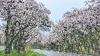 takano2-20250510073030.jpg