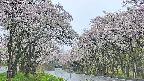 takano2-20250510074030.jpg