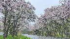 takano2-20250510075030.jpg